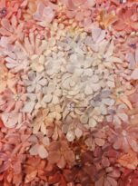 Color.ama in mosaico Rosa