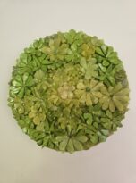 Color.ama in mosaico verde